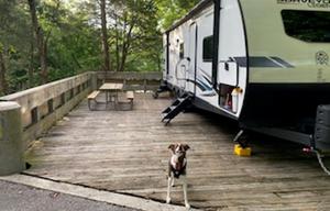2022 Surveyor Legend 276BHLE - Family/Pet Friendly