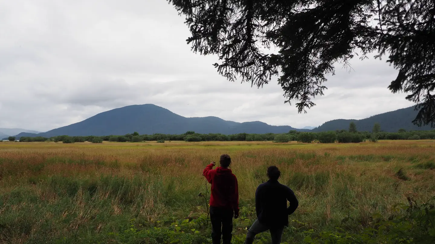 Sergief Island Cabin