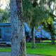 Two RVs parked in a peaceful, tree-filled campground.