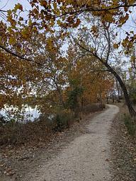 Looking down the Outlet Park trail