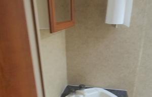 2009 R Vision Super Sport 31BH RV rental photo 9