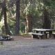 Flat gravel driveway leading to campsite with picnic table and fire ring in pine forest.