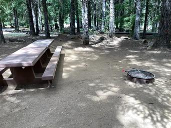 Pine Point