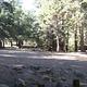Natural Shade at Pineknot Campground