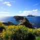 Yellow flowered plant on ocean bluff overlooking three islets and the surrounding ocean.