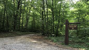 Hopper Creek Group Camp