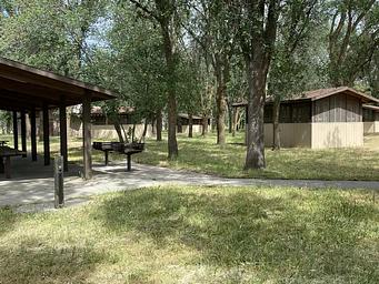 Sleeping cabins under trees