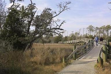 Cedar Point Campground