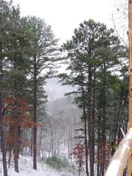 Eureka Yurts and Cabins
