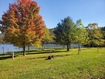 Nancy's Boat to Shore Campground (PA)