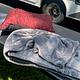 CT RV Adventures - Sunseeker