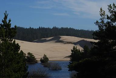 Shore pines and blue lake with sand dunes and conifer covered hills in background.