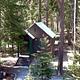 Small brown cascadian style cabin with green metal roof near outhouse and clothesline in sun dappled conifer forest.
