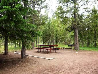 Campsite in wooded area