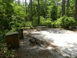 Longleaf