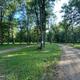 Shows a campground drive with multiple wooded campsites, utility posts and open grassy pads — good overview of campsite layout (from Campground Rentals page).