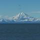Kasilof Family Campground Alaska