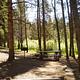 Silver Dollar Campground site 2