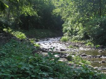 Soaring Eagle Campground