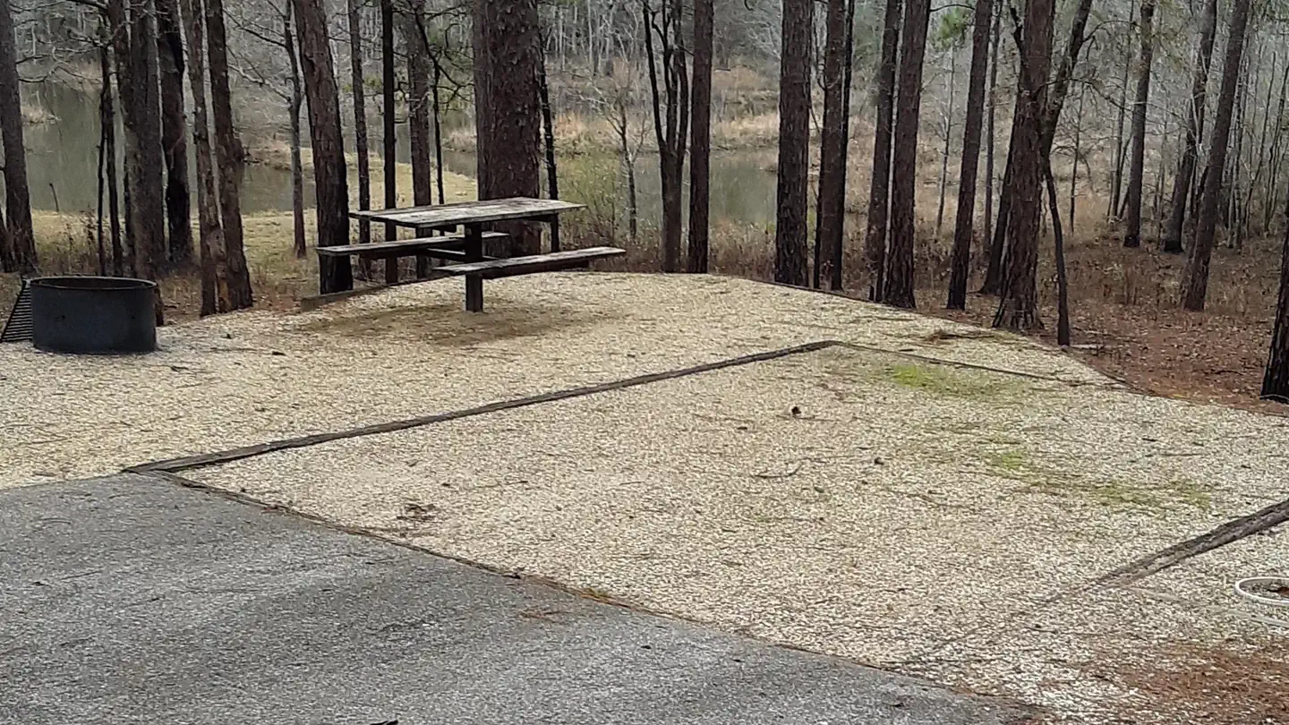 Turkey Fork Recreation Area