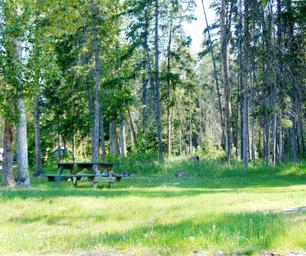 Spruce Grove Campground