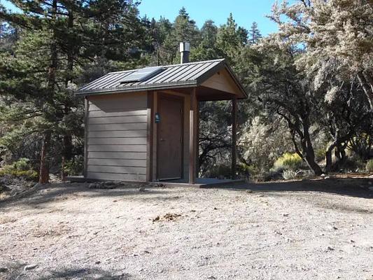 C1, Loop: COON