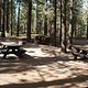 PINE GLEN