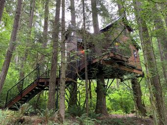 Iron & Vine Luxury Treehouse