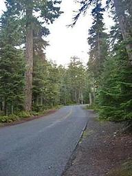 Cougar Rock Group Campground