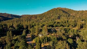 Sequoia Mountain Farms