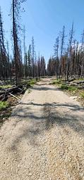 Rough road into cabin