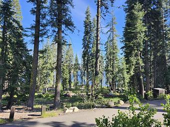 Upper Billy campsite located mostly in the sun but surrounded by a pine forest. The site include a picnic table and campfire pit.