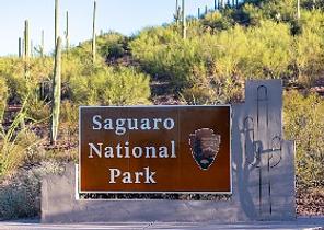 Saguaro National Park, Arizona