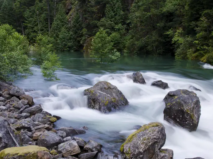 Goodell Creek Campground