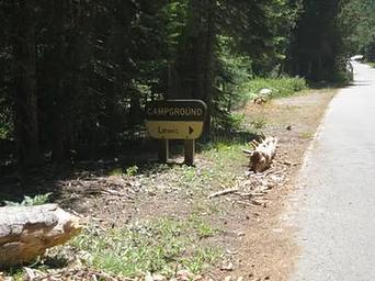 LEWIS at FRENCH MEADOWS