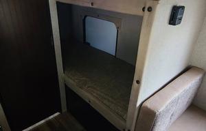 Dashing Doritys pet friendly RV