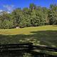 Field at Cove Creek Lower