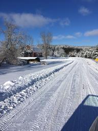 Ponds and Pines RV Park