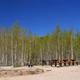 Indian Creek Group Campground