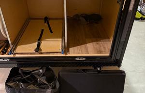 2021 Custom Custom Built Off- Grid w/ Bunk RV rental photo 13