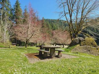 Loon Lake Recreation Site