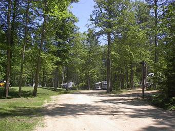 Wide view of a campground lane with trees and multiple sites visible — useful overall scene of the campground layout and setting, from the Campground Map page.