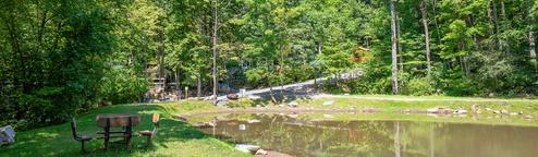 Panoramic view of a pond/grounds with picnic table and surrounding trees — useful scenic overview of the campground property. Source: background/hero image on the homepage.