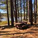 Campsite at Topsy Recreation Site