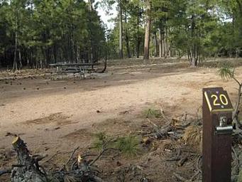 BLACK CANYON RIM CAMPGROUND