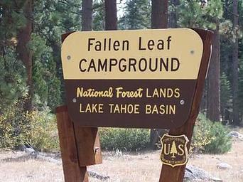 Fallen Leaf Campground