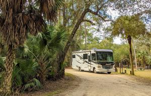 2019 Jayco Alante Sleeps 8 Comfy! Bunkhouse! Kids!
