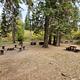 South Fork Site #5, Camp area