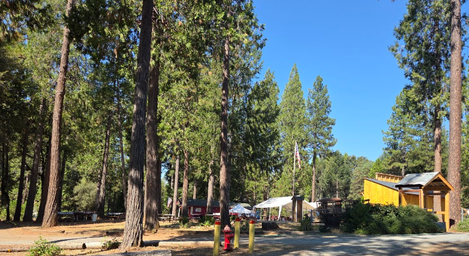 Camp Growlersburg