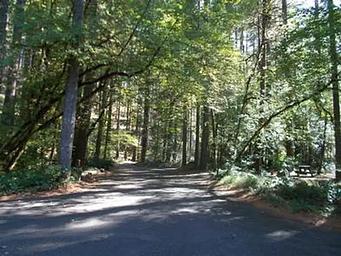 BOGUS CREEK CAMPGROUND